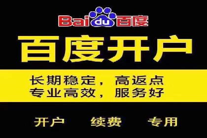 SEM运营公司经典案例点评